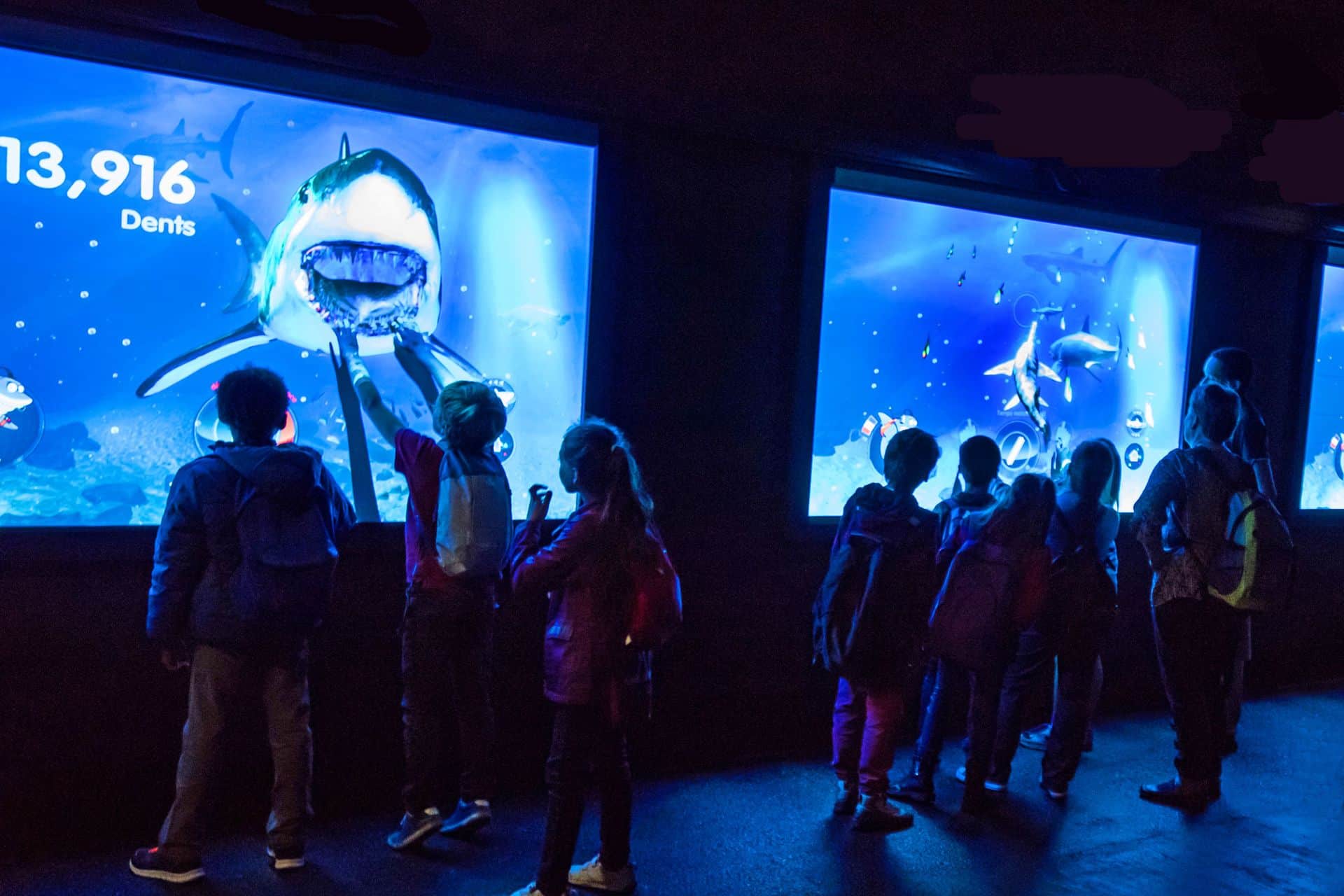 A l'intérieur de Sea Life Val d'Europe